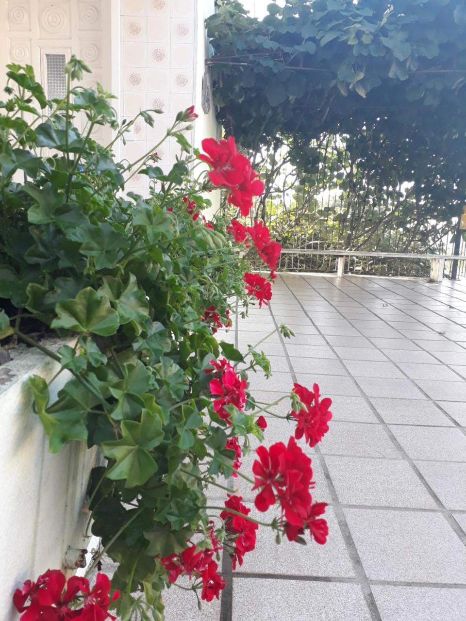 Pousada Don Marini Bento Gonçalves Kültér fotó